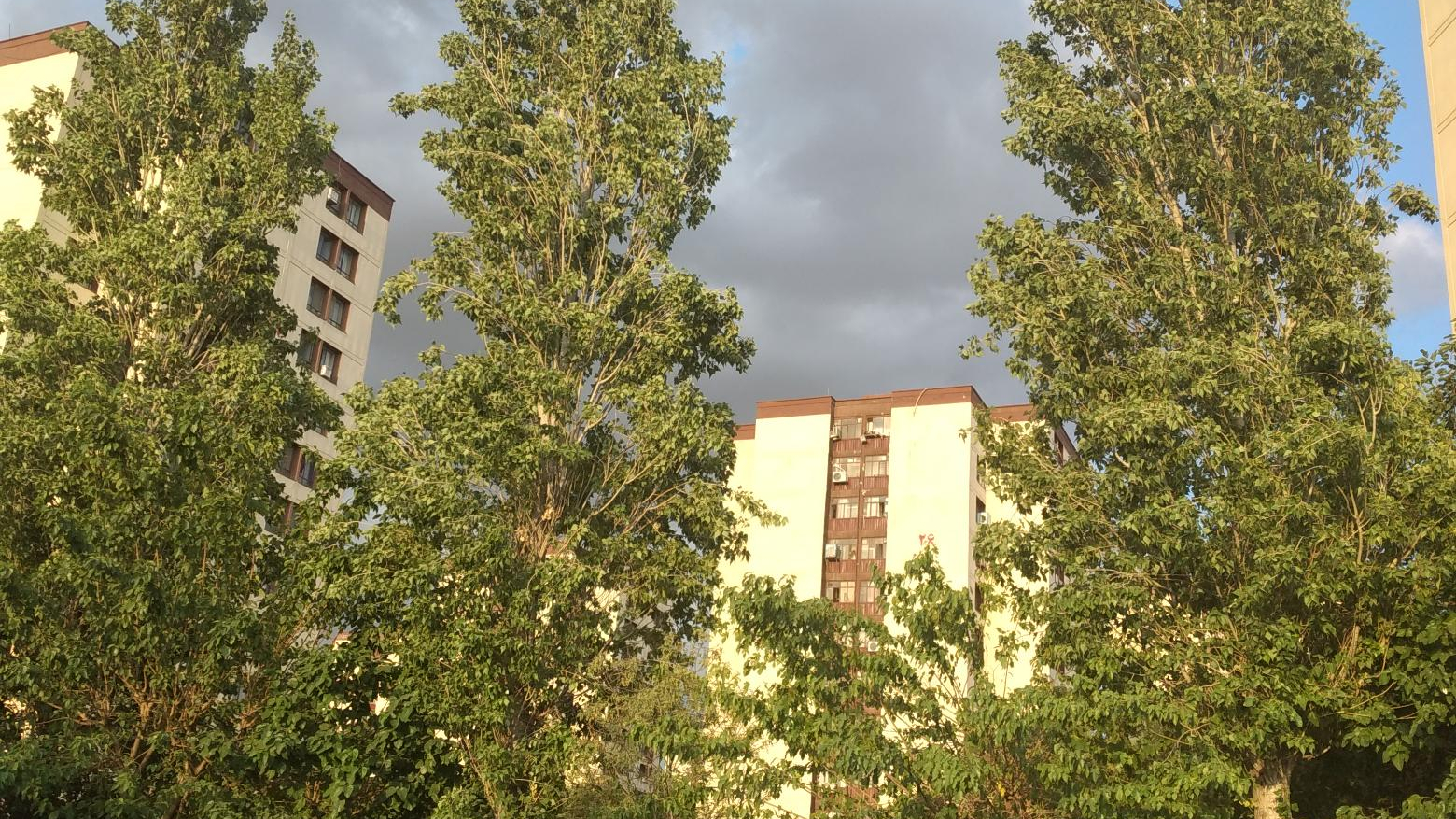 اتوبار باربری بنی هاشم 